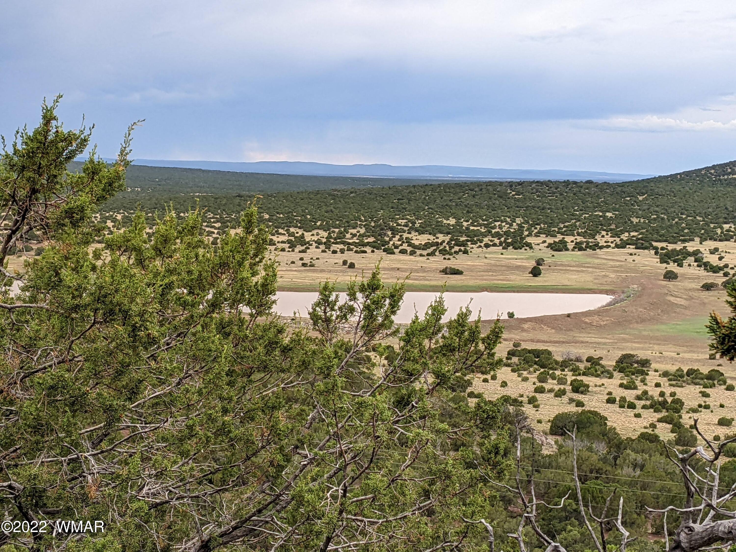 Lot 72 North Dolly Road Concho, AZ 85924 - Photo 12 of 22