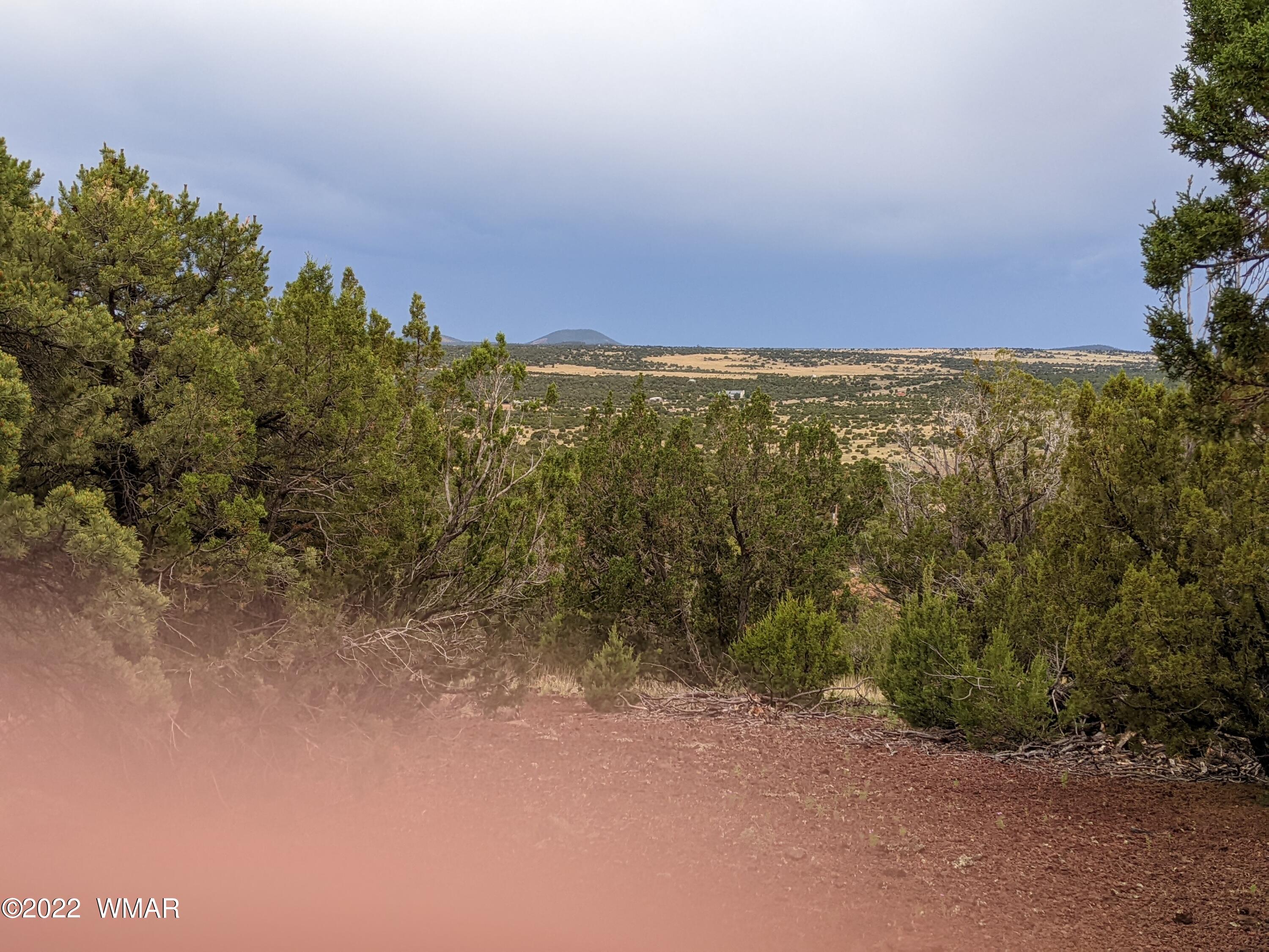 Lot 72 North Dolly Road Concho, AZ 85924 - Photo 17 of 22