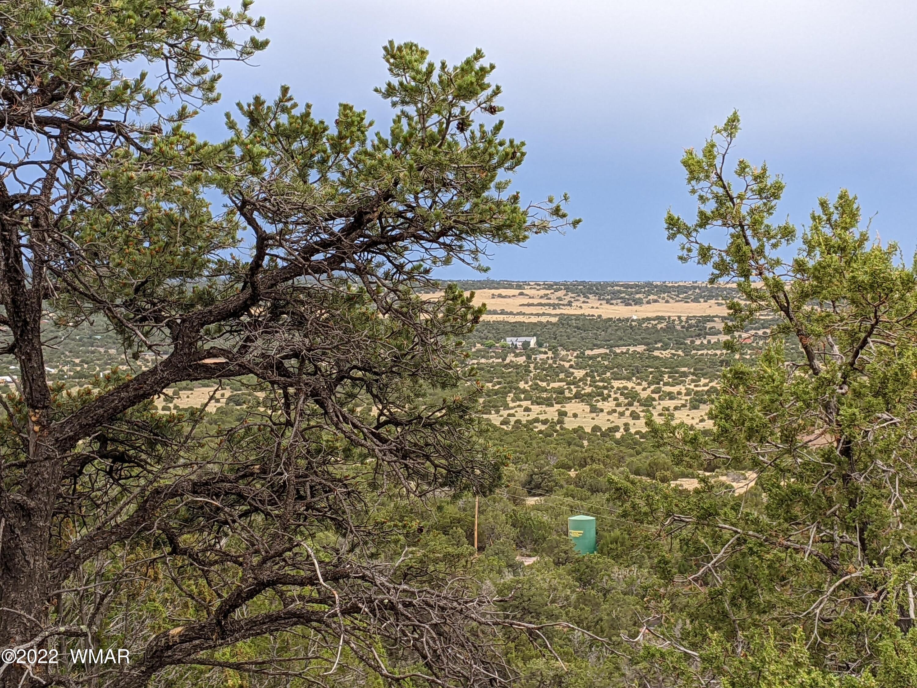 Lot 72 North Dolly Road Concho, AZ 85924 - Photo 19 of 22