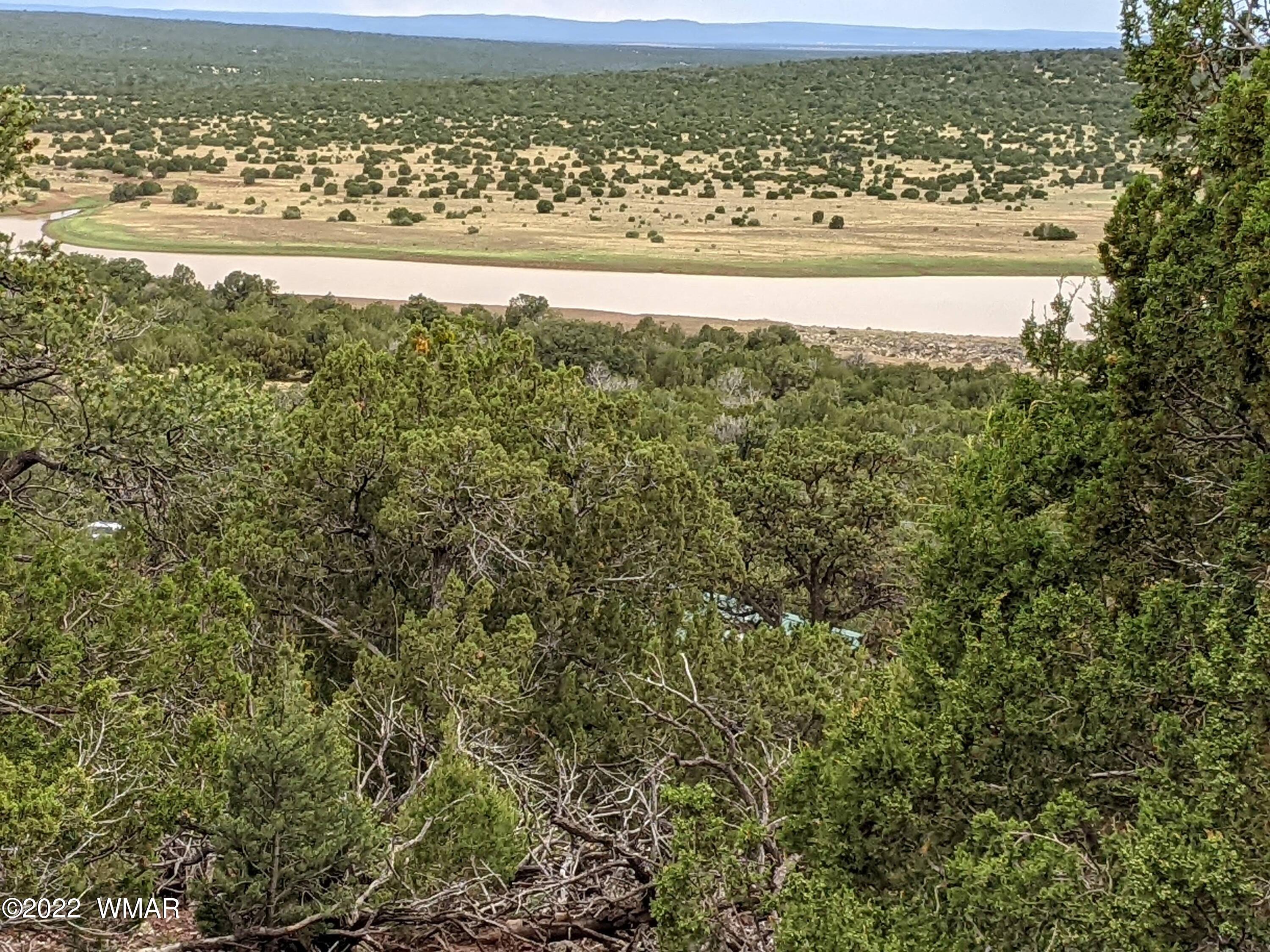 Lot 72 North Dolly Road Concho, AZ 85924 - Photo 2 of 22