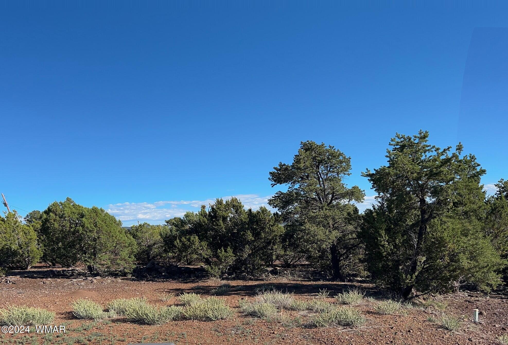 Lot 72 North Dolly Road Concho, AZ 85924 - Photo 21 of 22