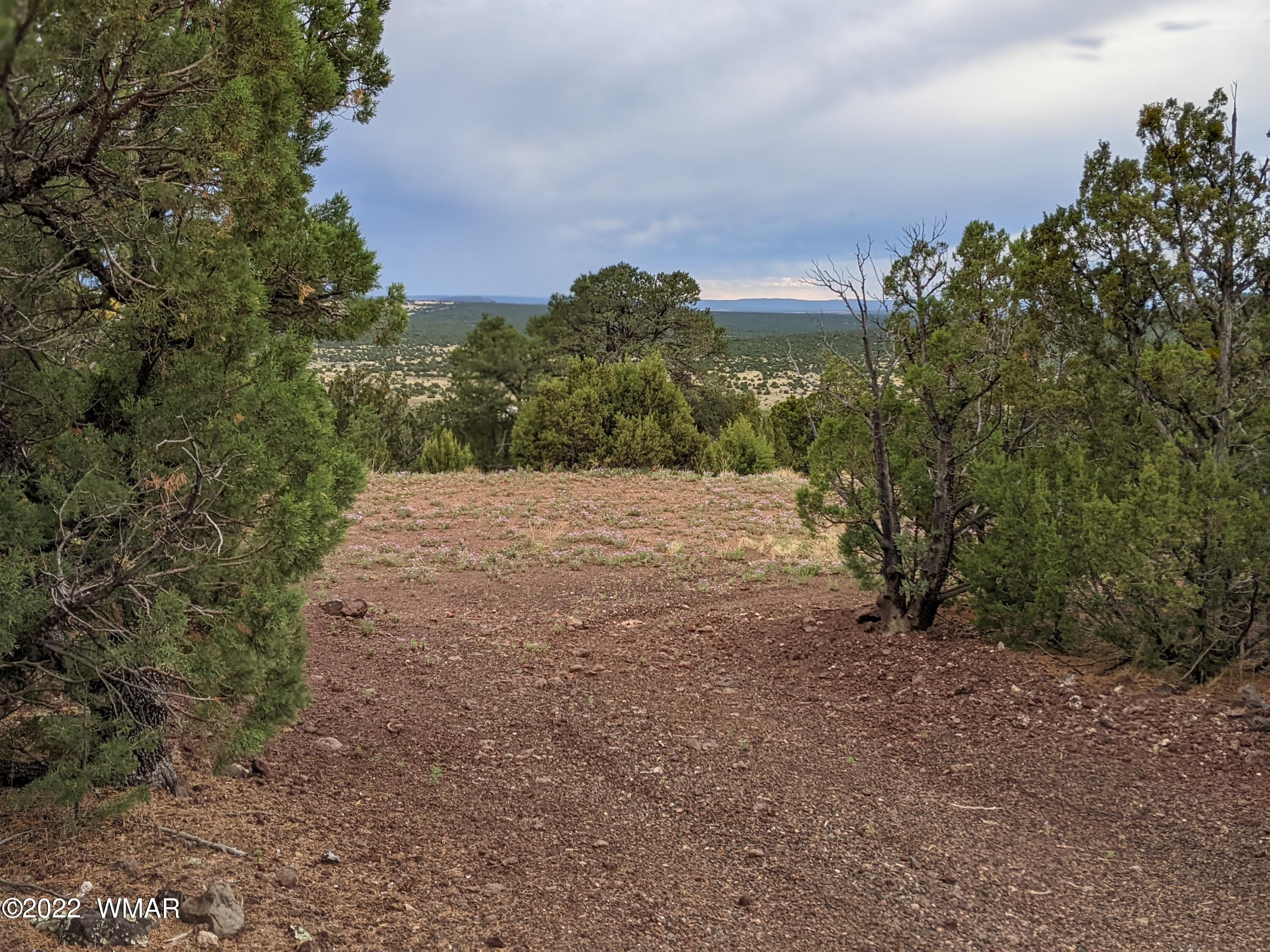 Lot 72 North Dolly Road Concho, AZ 85924 - Photo 3 of 22