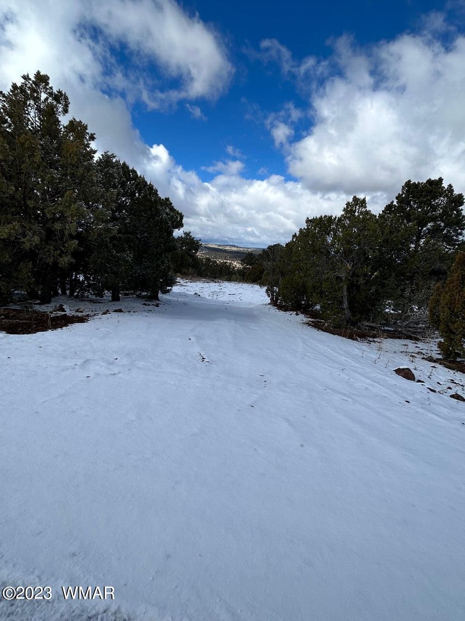 Lot 72 North Dolly Road Concho, AZ 85924 - Photo 5 of 22