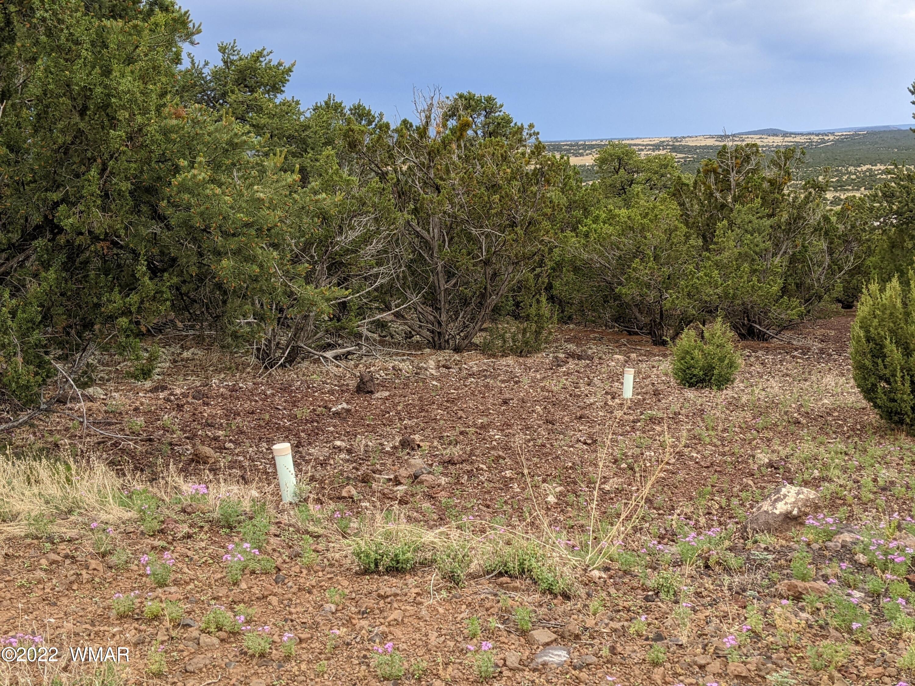 Lot 72 North Dolly Road Concho, AZ 85924 - Photo 8 of 22