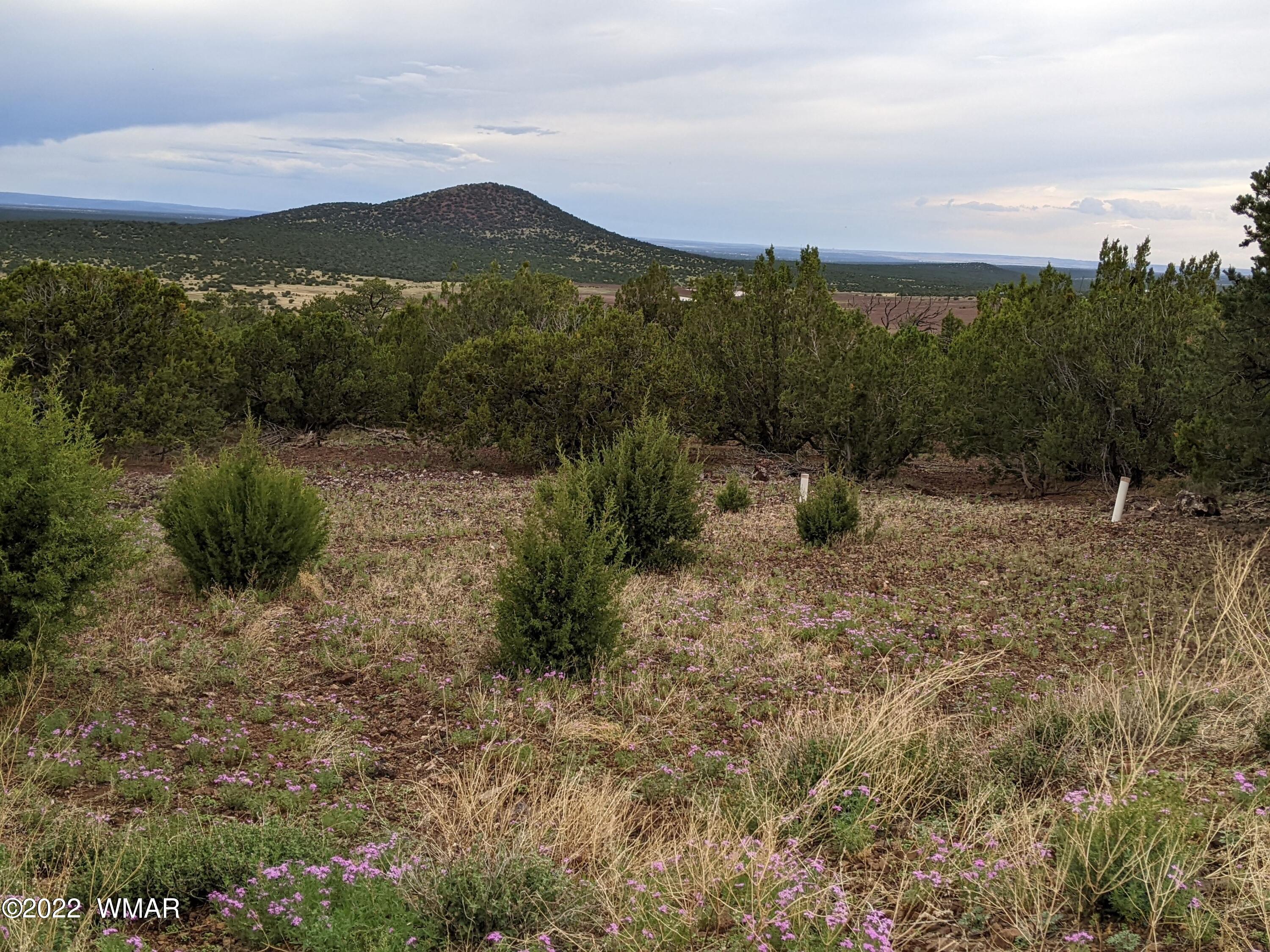 Lot 72 North Dolly Road Concho, AZ 85924 - Photo 9 of 22