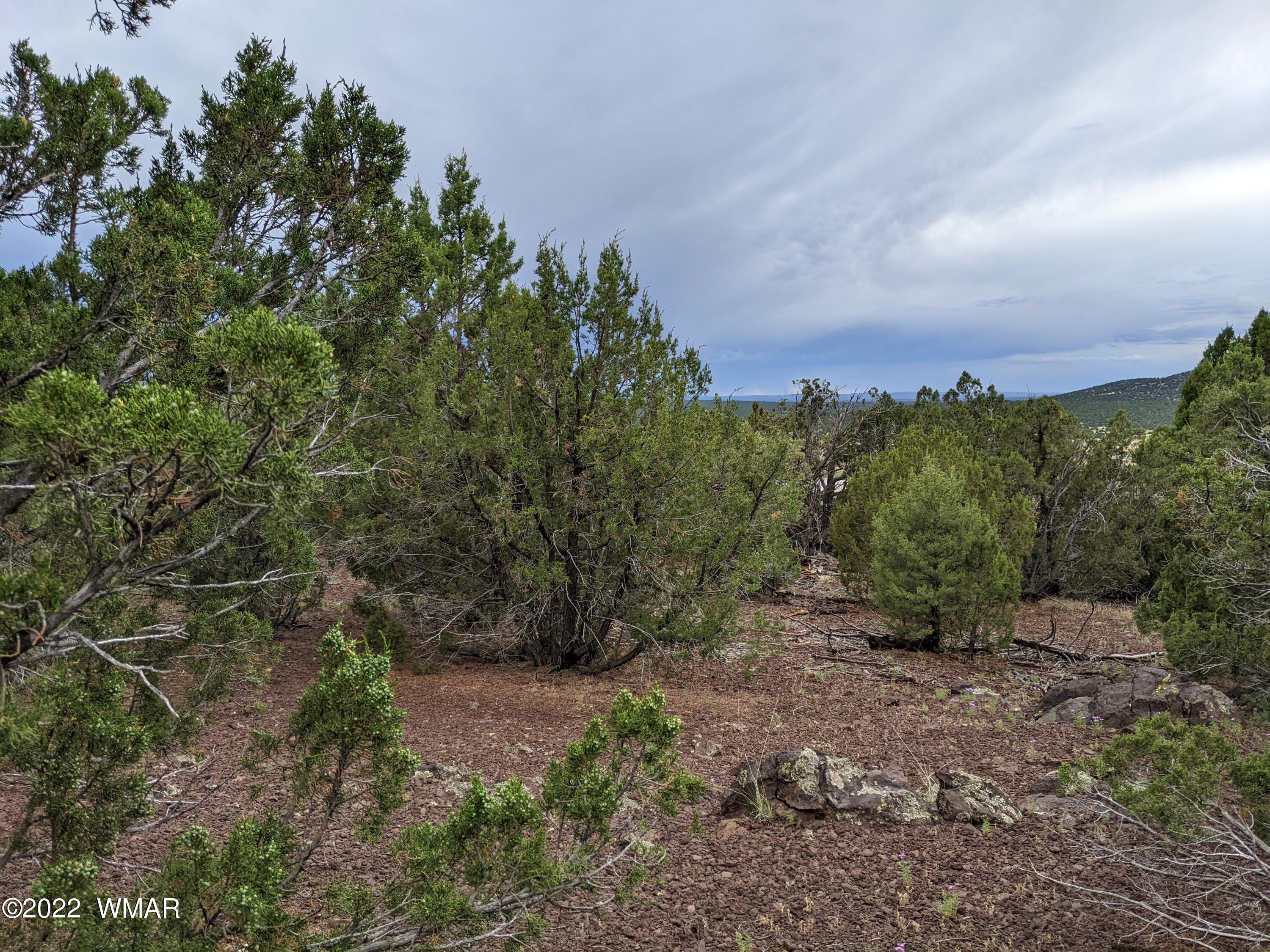 Lot 72 North Dolly Road Concho, AZ 85924 - Photo 10 of 22