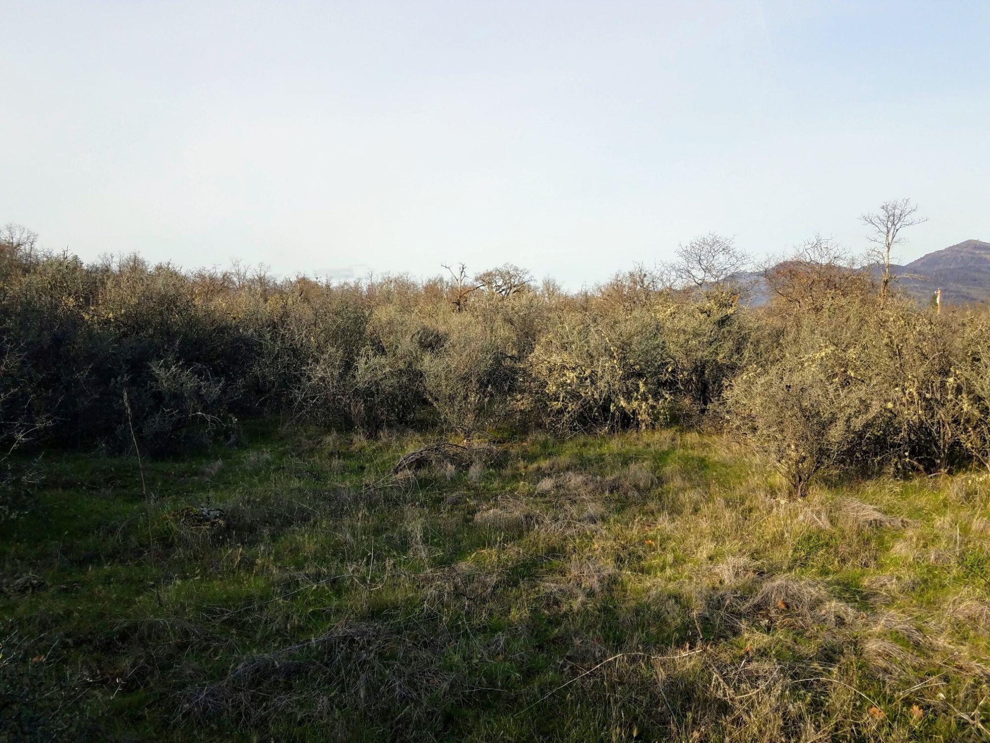701 Road Eagle Point Eagle Point, OR 97524 - Photo 13 of 13 015 20211210_142514