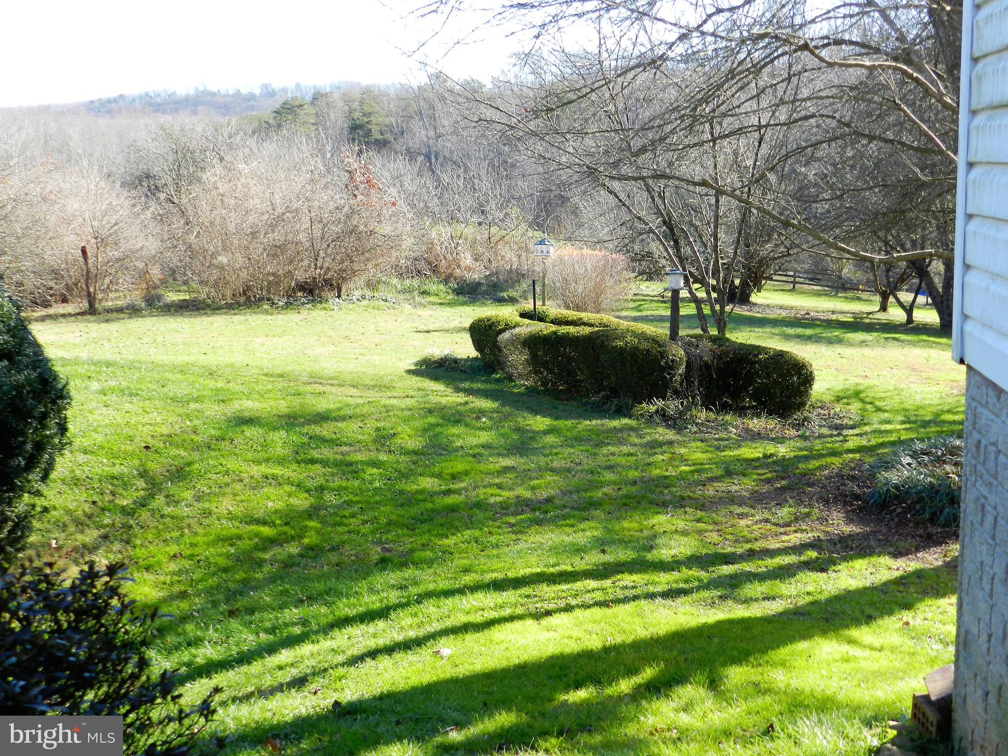 11269 Old Stillhouse Road Boston, VA 22713 - Photo 27 of 77 Rear yard