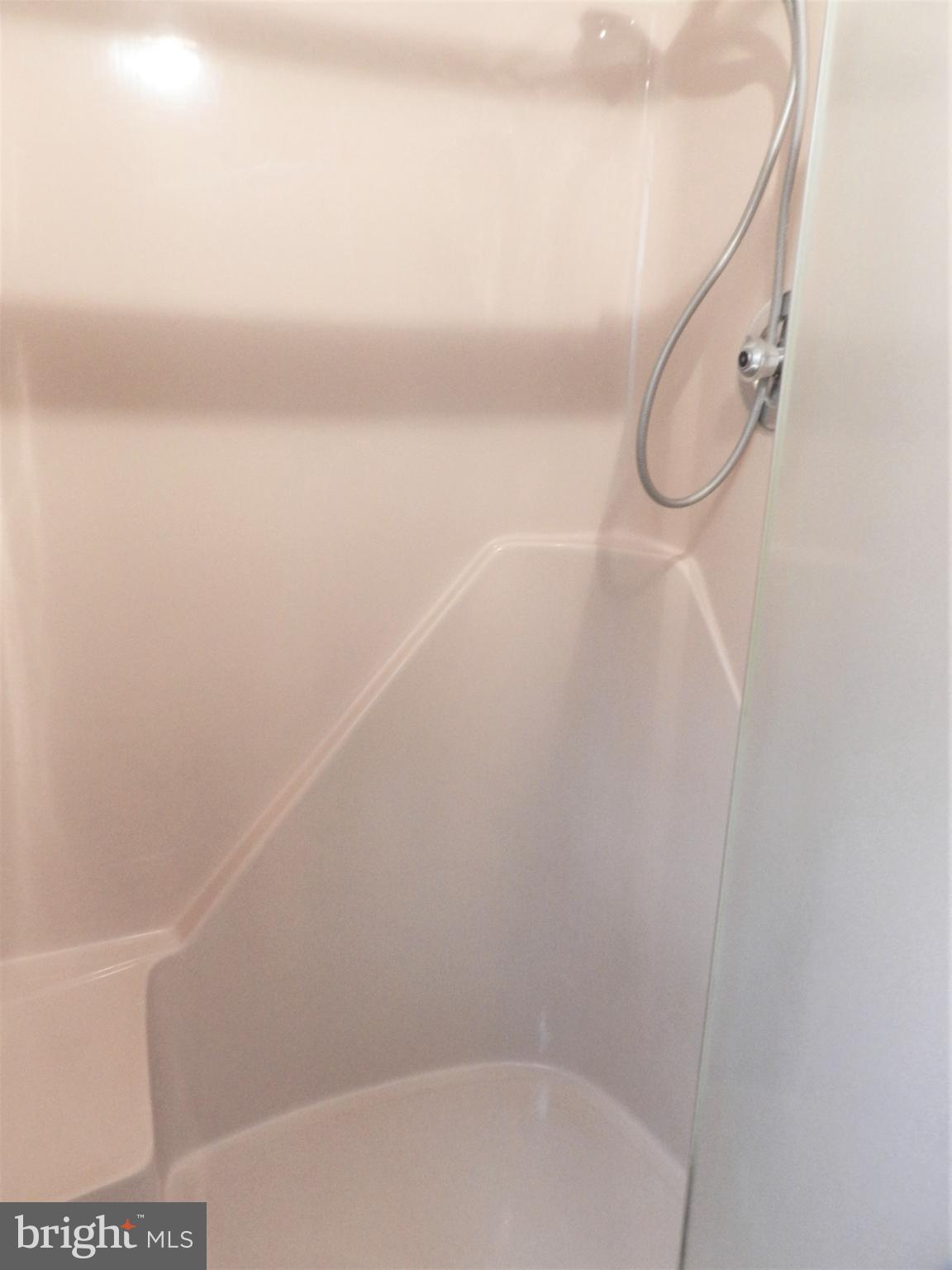 11269 Old Stillhouse Road Boston, VA 22713 - Photo 45 of 77 Master shower