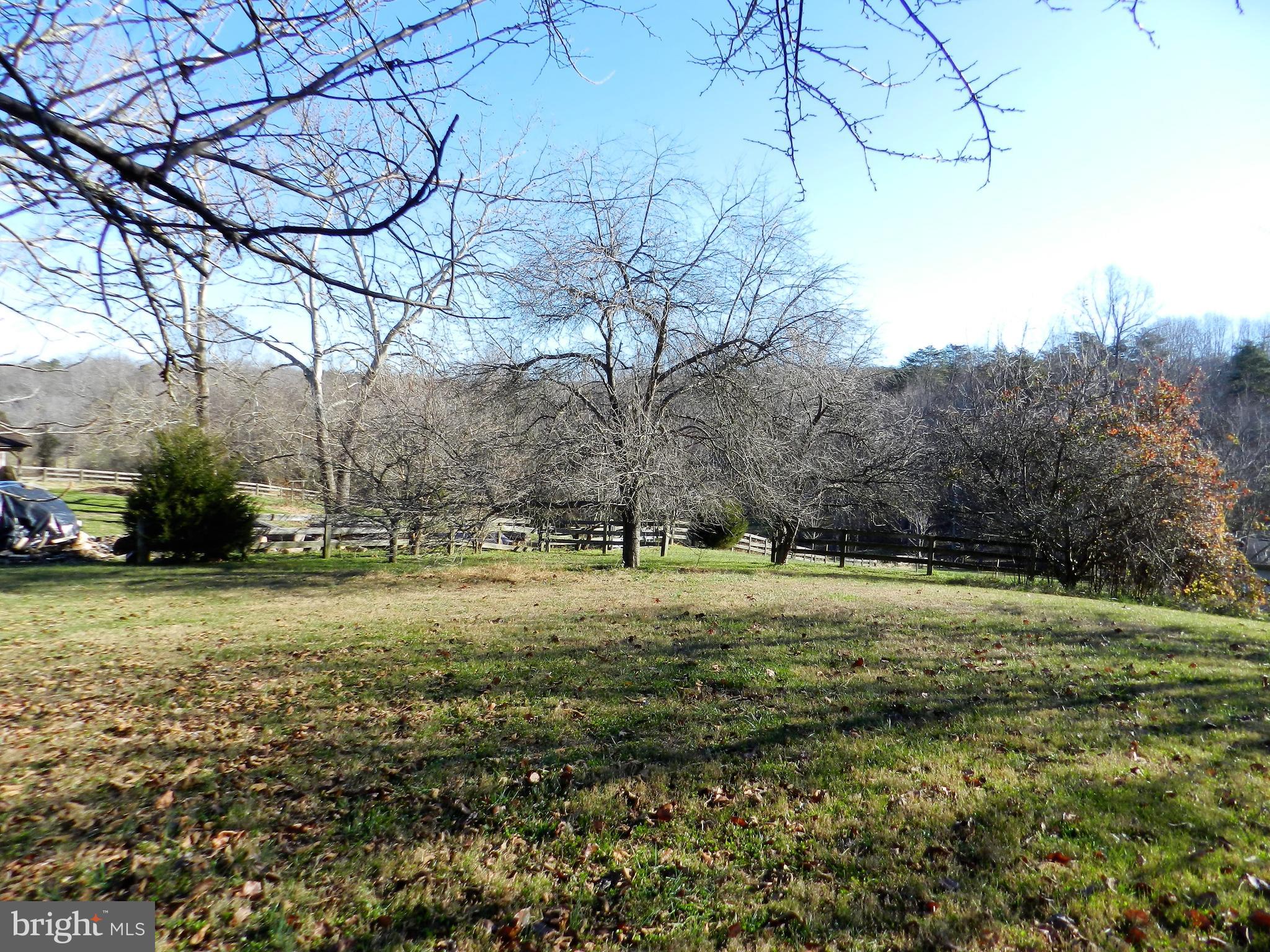 11269 Old Stillhouse Road Boston, VA 22713 - Photo 68 of 77 Rear