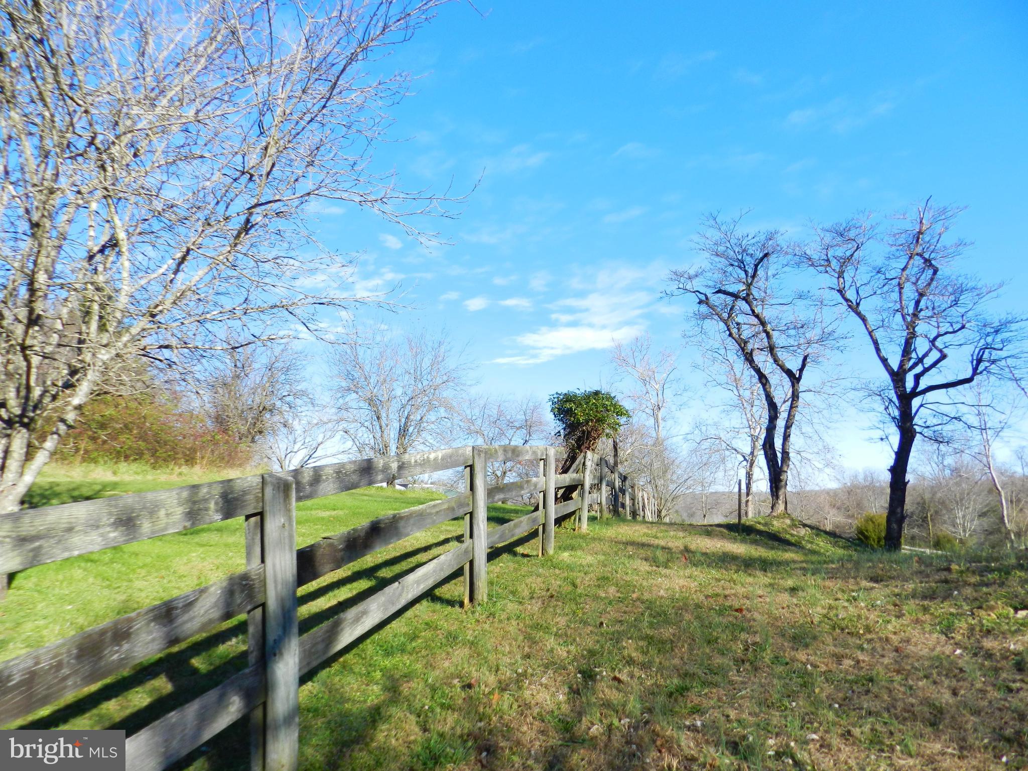 11269 Old Stillhouse Road Boston, VA 22713 - Photo 69 of 77 Rear