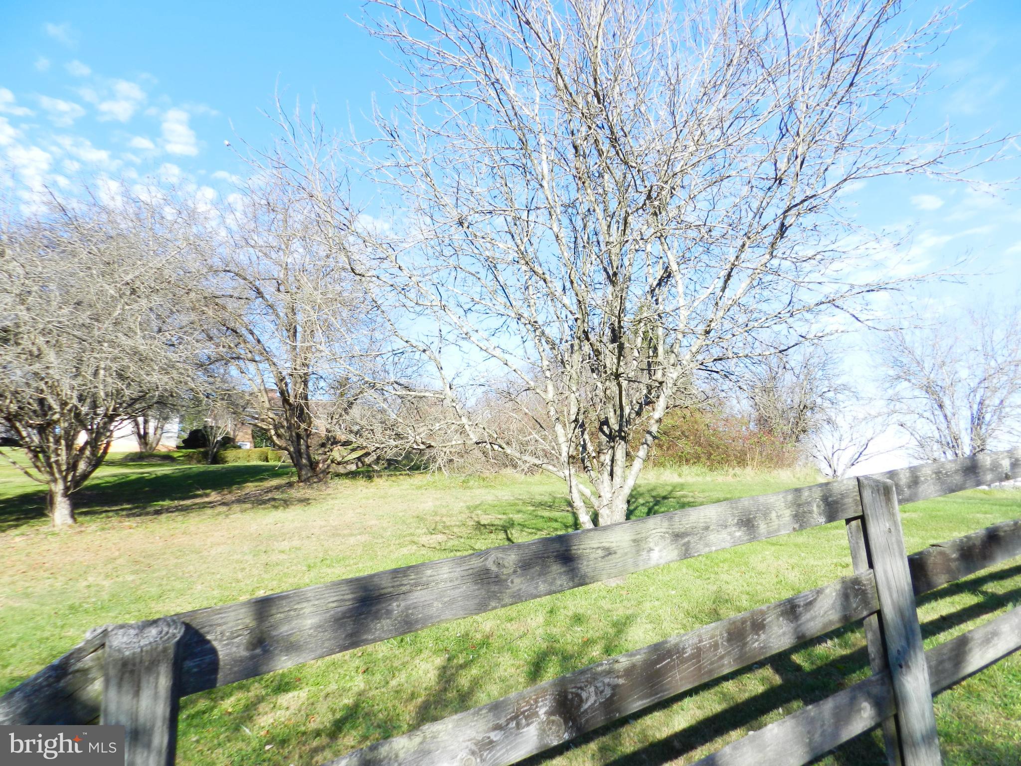 11269 Old Stillhouse Road Boston, VA 22713 - Photo 70 of 77 Rear