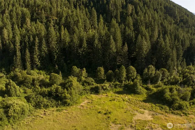 a view of a garden with plants