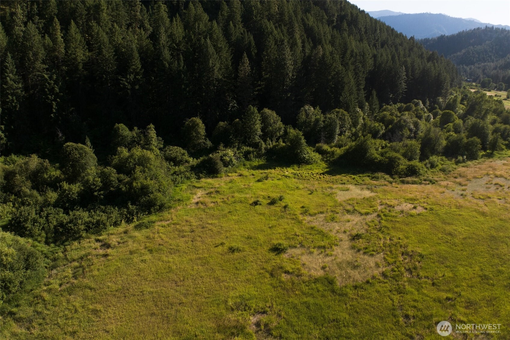 10479 Eagle Creek Road Leavenworth, WA 98826 - Photo 12 of 25 a view of backyard with green space