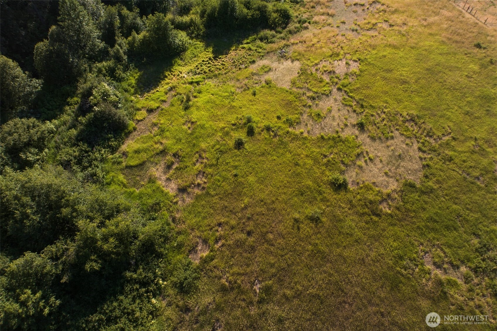 10479 Eagle Creek Road Leavenworth, WA 98826 - Photo 19 of 25 a view of a yard