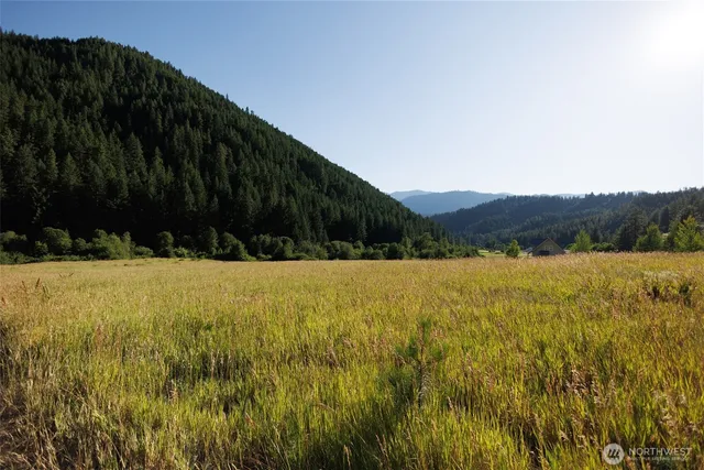 a view of a backyard of the house