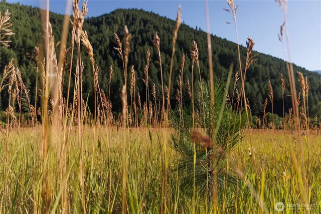 $549,000 | 10479 Eagle Creek Road, Leavenworth, WA 98826