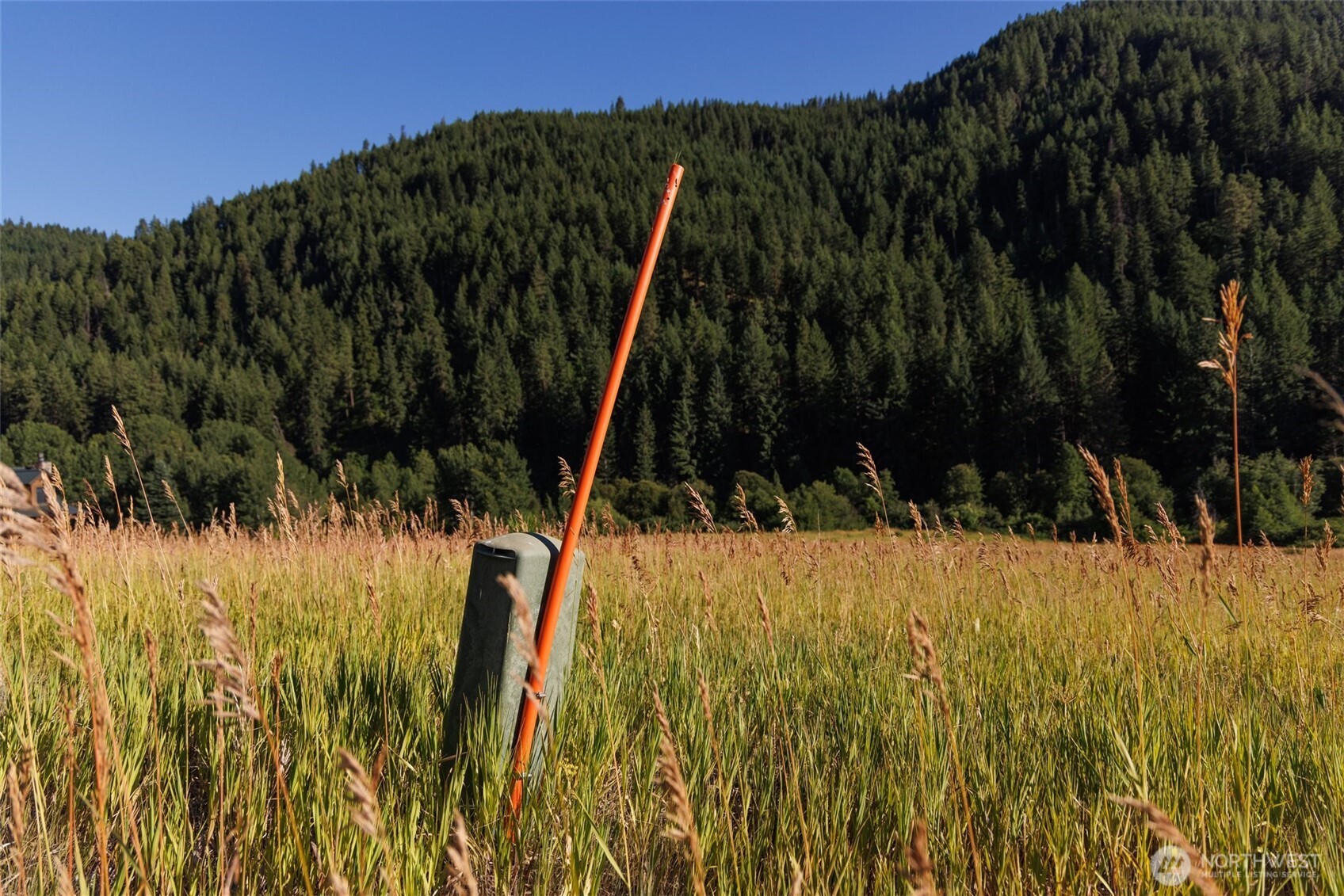 10479 Eagle Creek Road Leavenworth, WA 98826 - Photo 25 of 25 a view of a backyard of the house