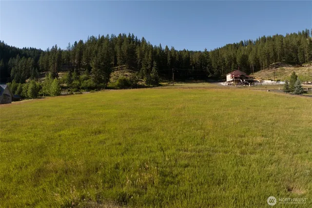 a view of outdoor space and yard