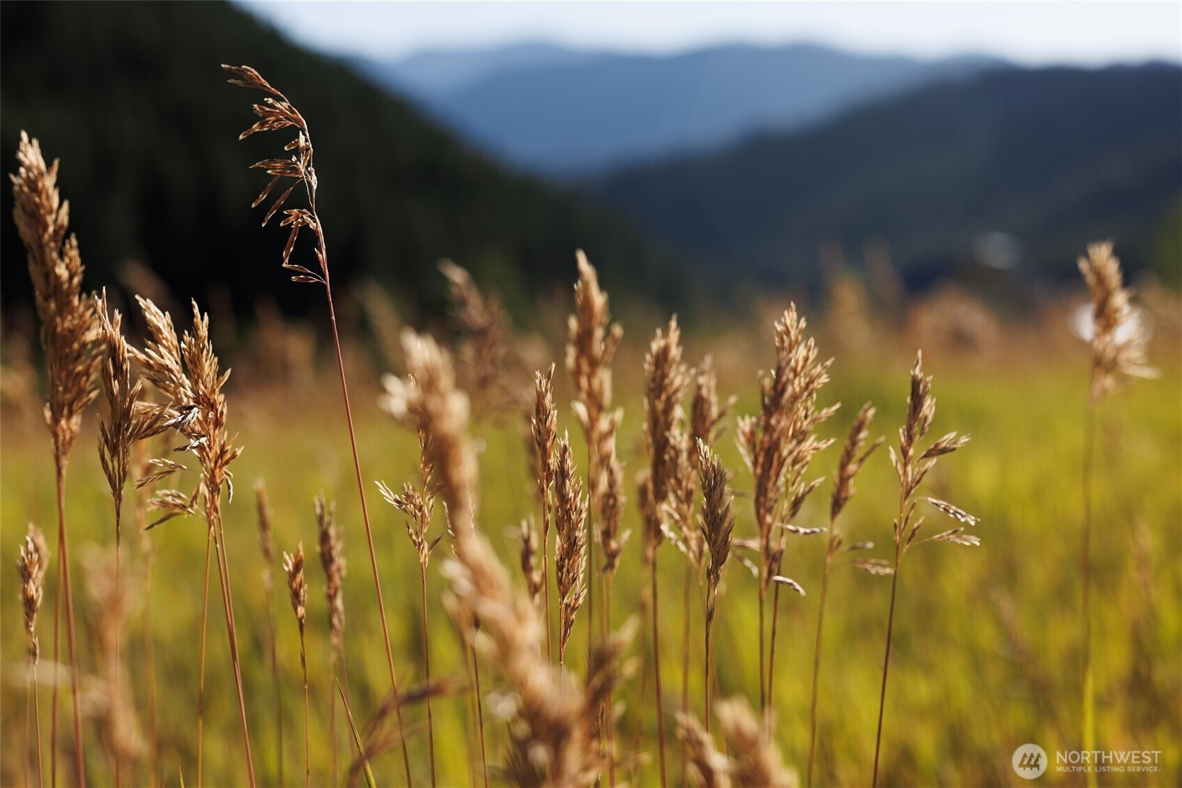 10479 Eagle Creek Road Leavenworth, WA 98826 - Photo 4 of 25 a close view of water heater room