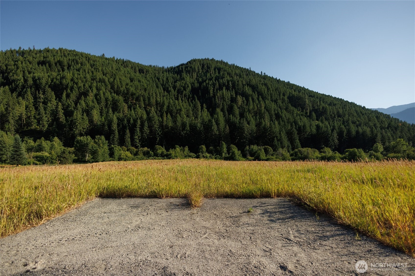 10479 Eagle Creek Road Leavenworth, WA 98826 - Photo 6 of 25 a view of a yard