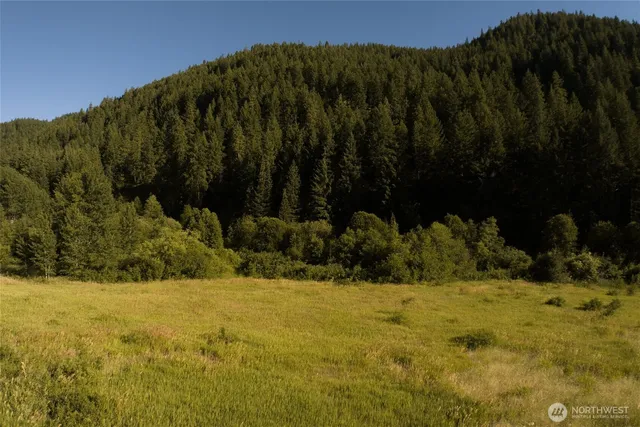 a view of outdoor space and trees