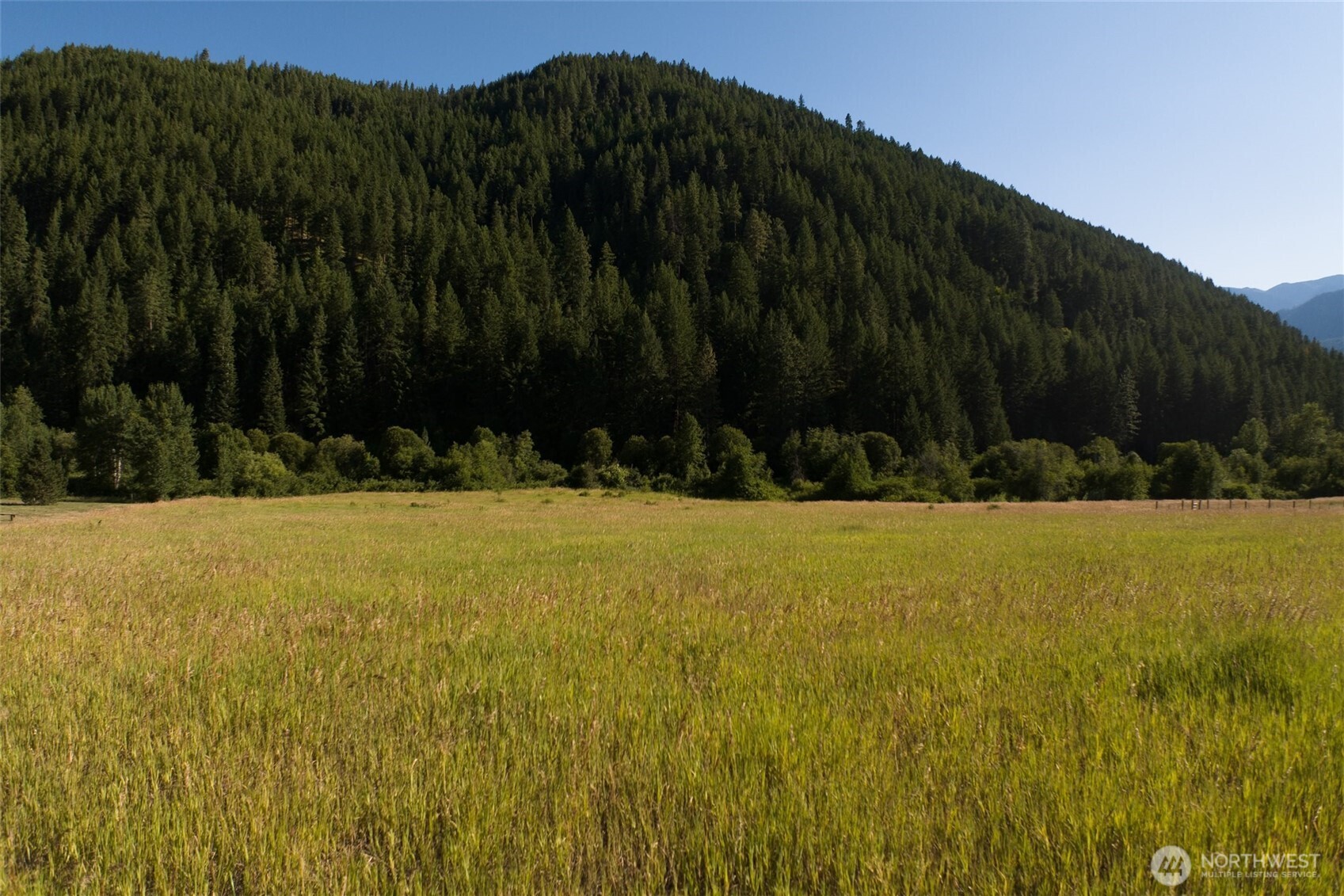 10479 Eagle Creek Road Leavenworth, WA 98826 - Photo 8 of 25 a view of outdoor space and trees