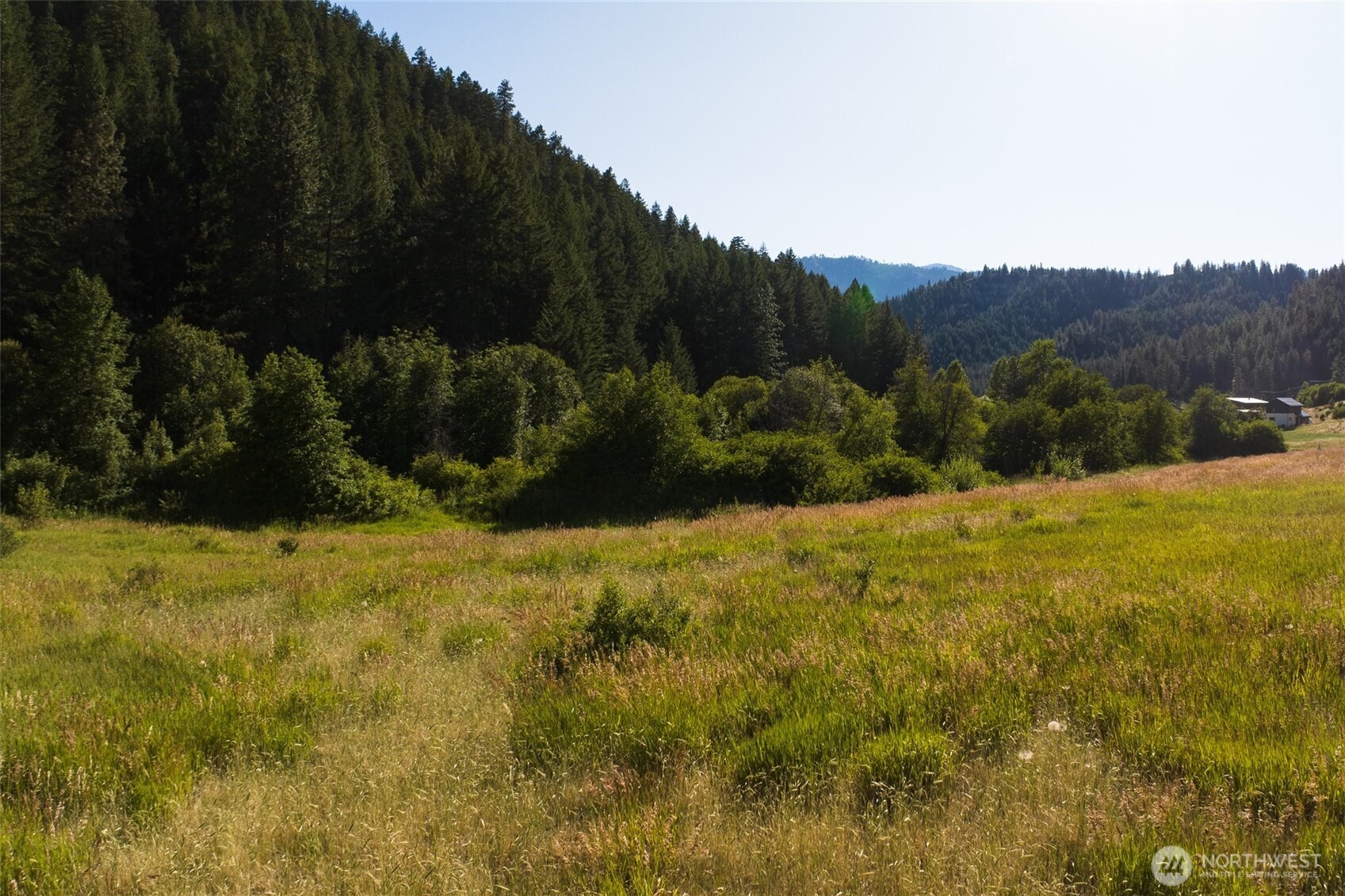 10479 Eagle Creek Road Leavenworth, WA 98826 - Photo 9 of 25 a view of a yard with a tree