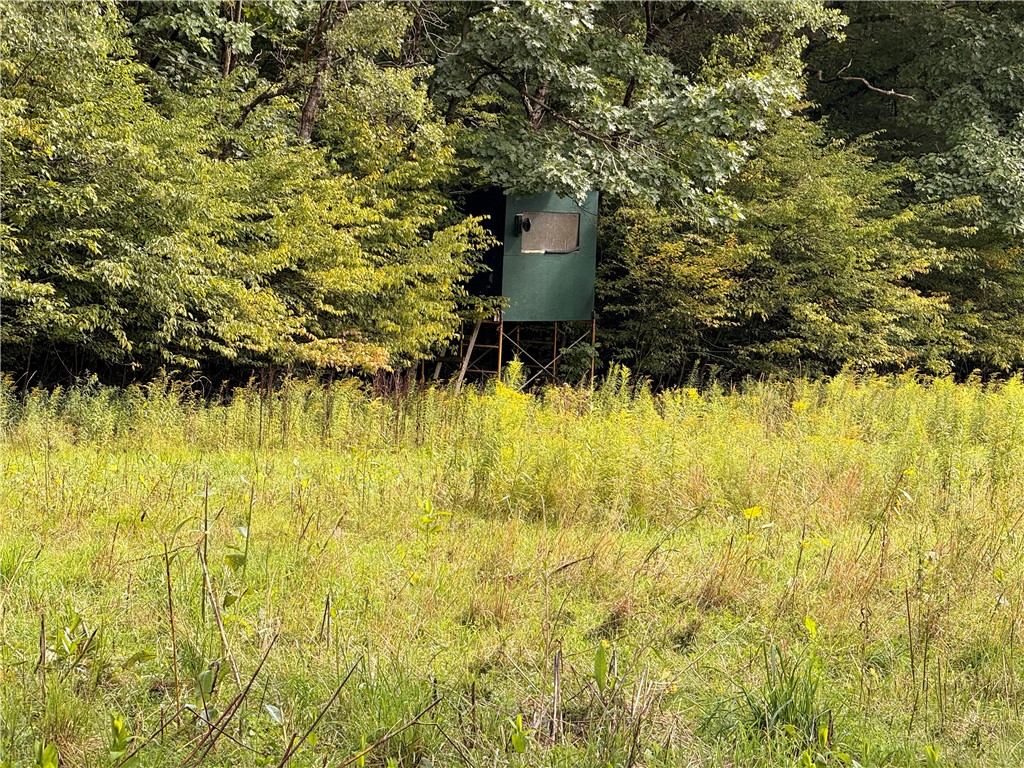 334 Lulu Coon Road Butternuts, NY 13849 - Photo 19 of 41 Gallery Image 19
