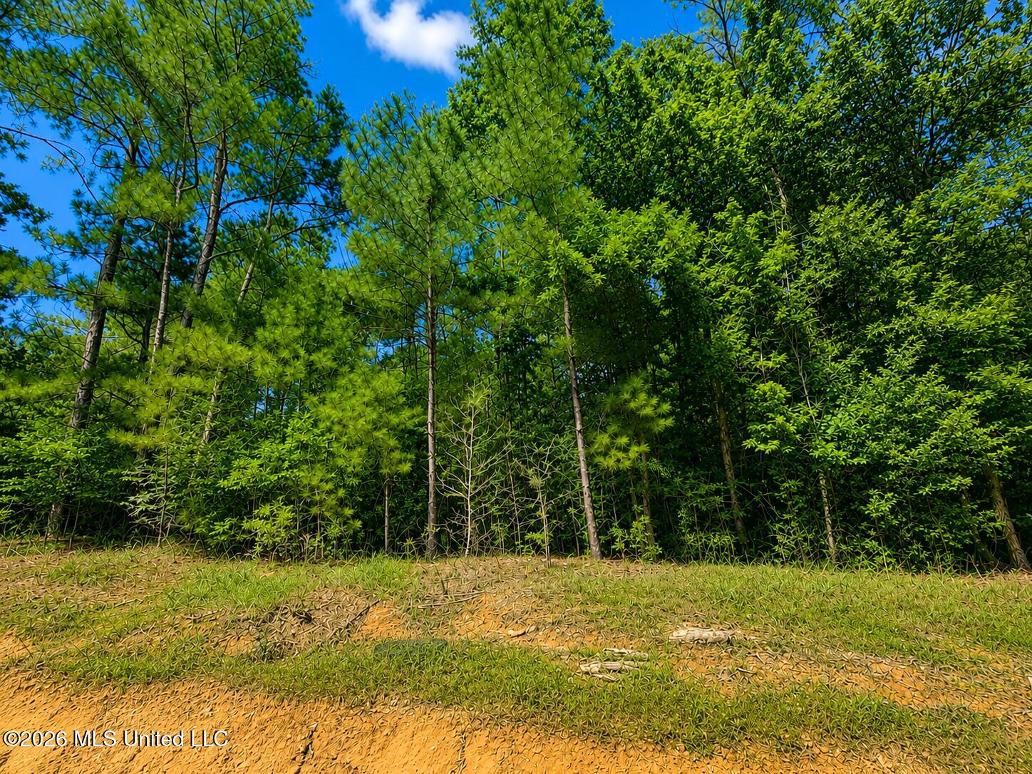 4.39-acres Man Moulds Road Lucedale, MS 39452 - Photo 4 of 15 (Land (1)
