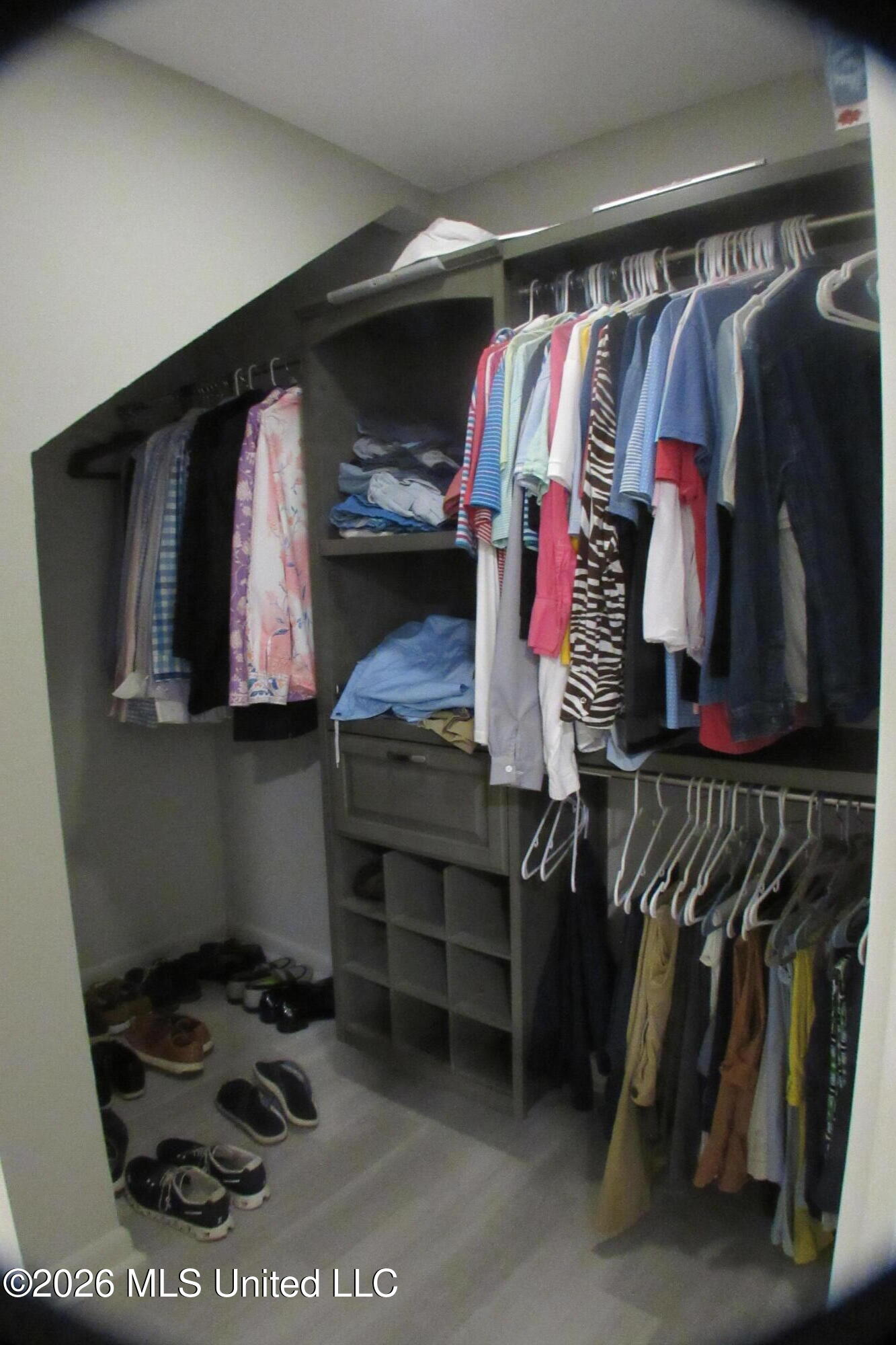 407 Spike Ridge Canton, MS 39046 - Photo 24 of 36 primary closet