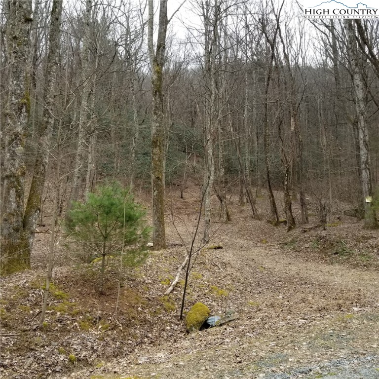 15 Old Stillhouse Road Lenoir, NC 28645 - Photo 2 of 6