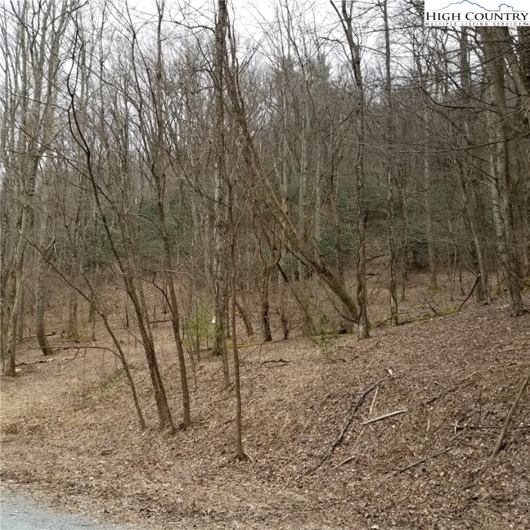 15 Old Stillhouse Road Lenoir, NC 28645 - Photo 4 of 6