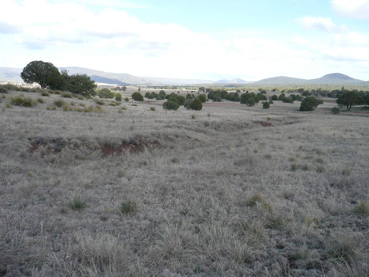 478 Rolling Hills Road Young, AZ 85554 - Photo 20 of 20
