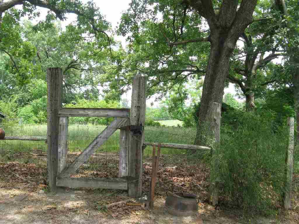 823 Barnes Station Road Iva, SC 29655 - Photo 31 of 35
