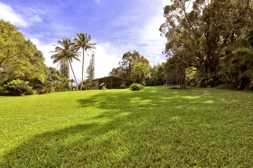 84 South Holokai Road Haiku, HI 96708 - Photo 11 of 17 a view of a field with an trees