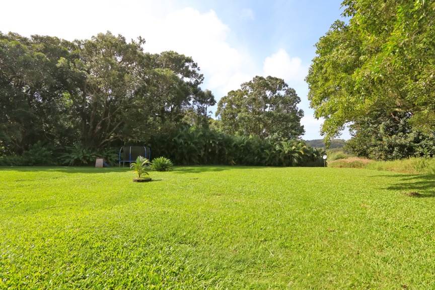 84 South Holokai Road Haiku, HI 96708 - Photo 13 of 17 a view of a field with a tree