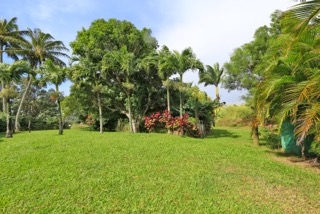 84 South Holokai Road Haiku, HI 96708 - Photo 15 of 17 a view of a field of grass and trees