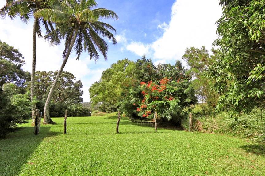 84 South Holokai Road Haiku, HI 96708 - Photo 5 of 17 a green field with lots of trees