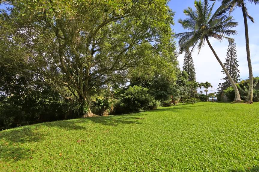 84 South Holokai Road Haiku, HI 96708 - Photo 6 of 17 a view of a field with a trees
