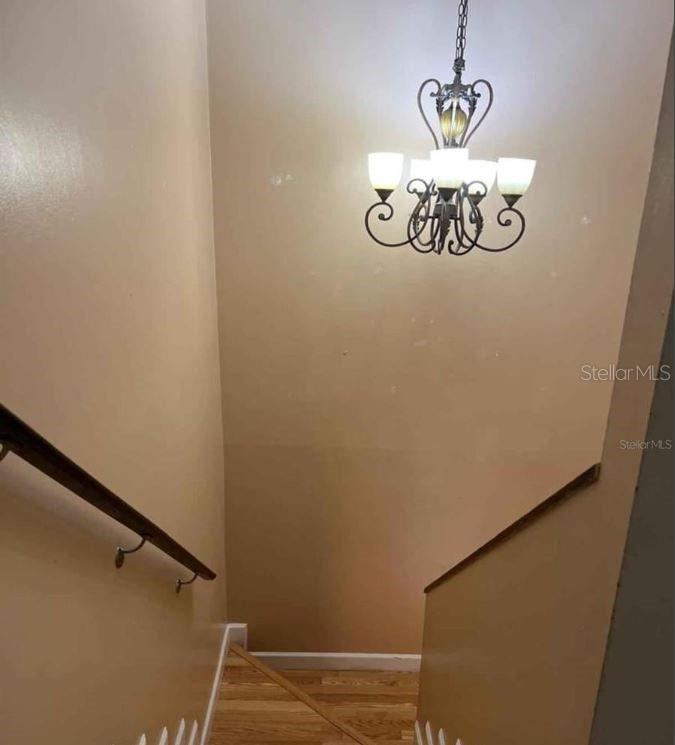 4714 George Road Tampa, FL 33634 - Photo 12 of 18