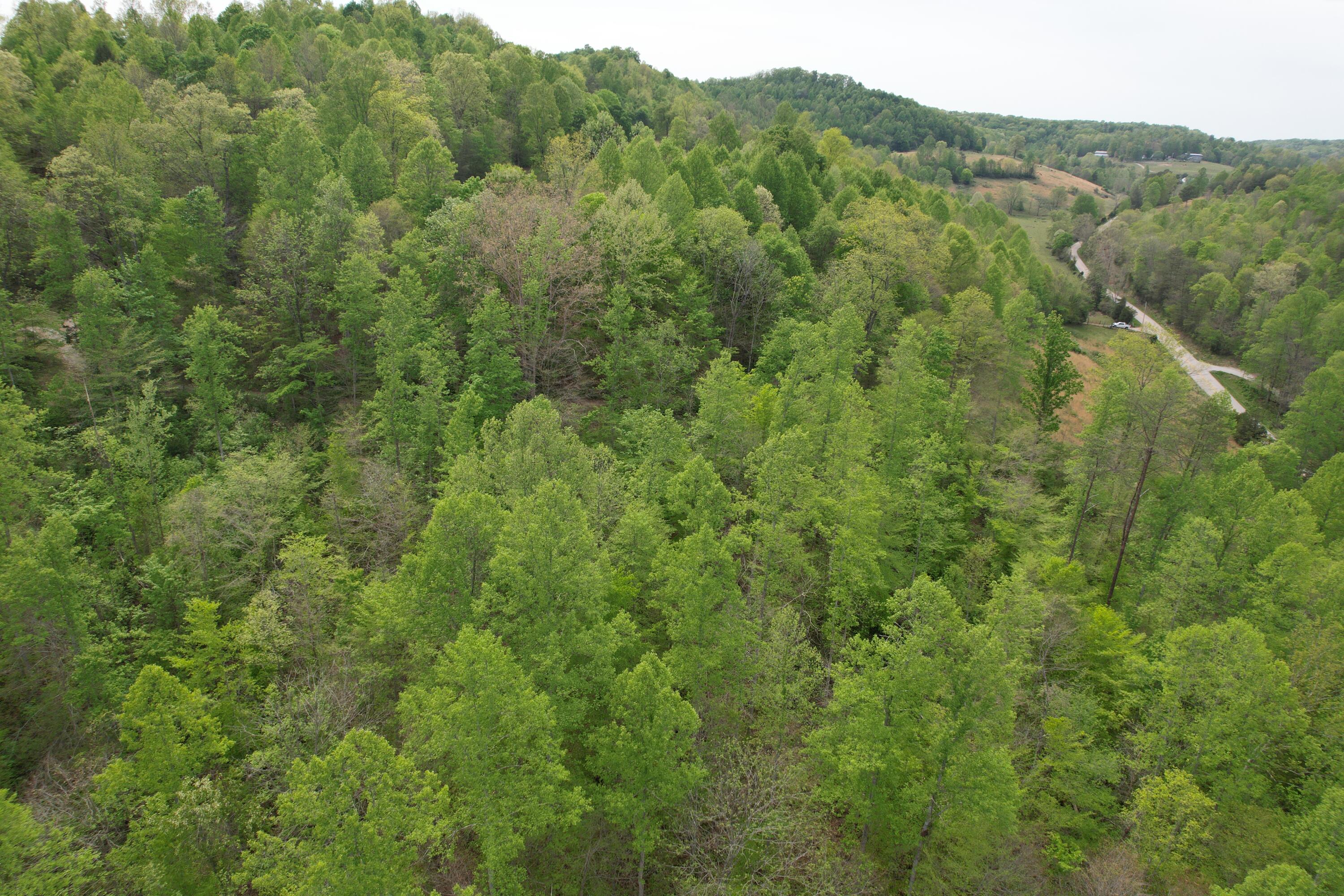999 Big Cave Road Livingston, KY 40445 - Photo 12 of 13 DJI_0836