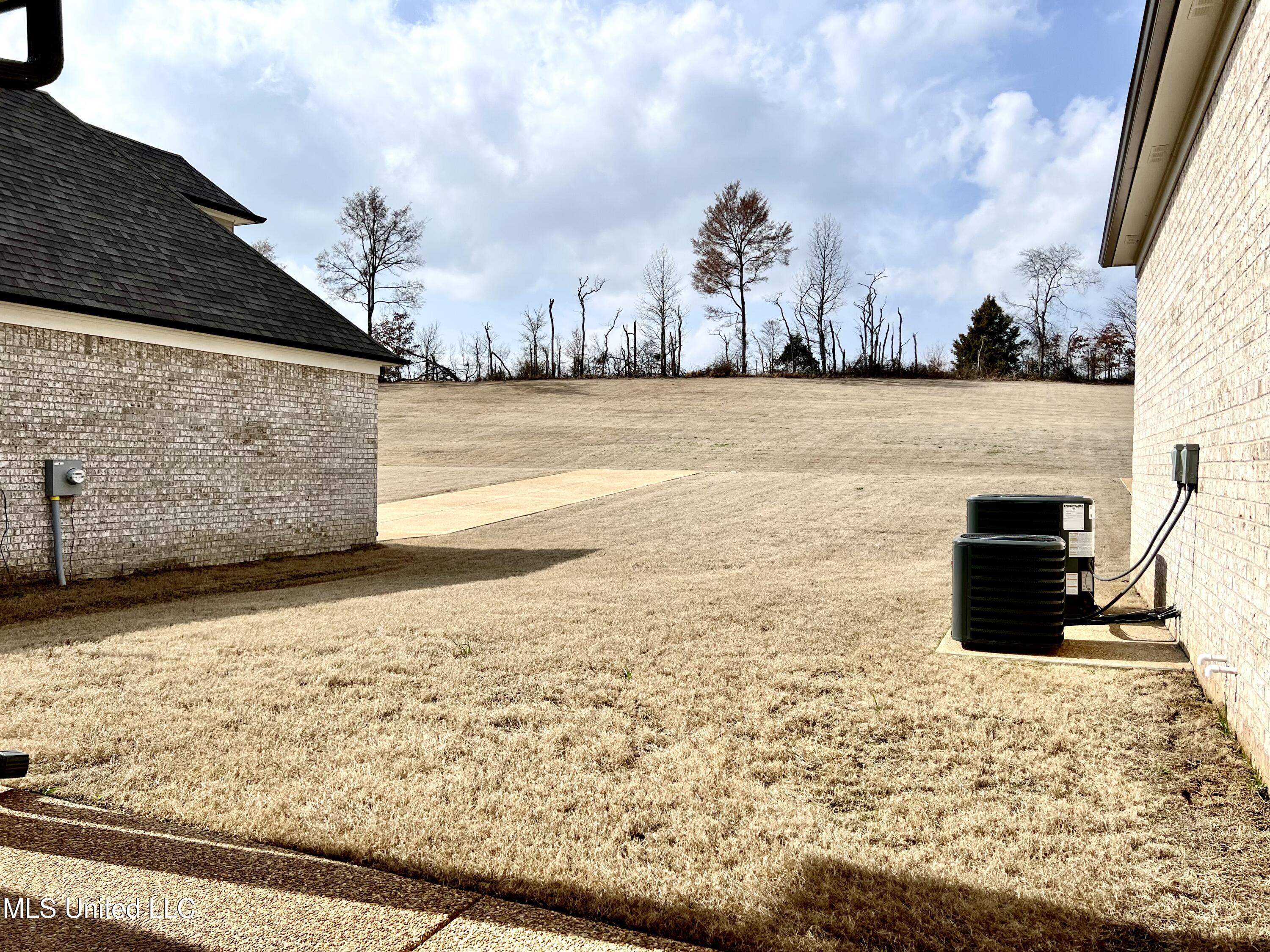 2233 Scott Mdws Lane Hernando, MS 38632 - Photo 6 of 25 IMG_6230