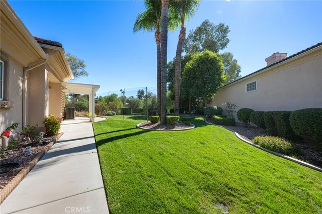 a view of a garden with potted plants