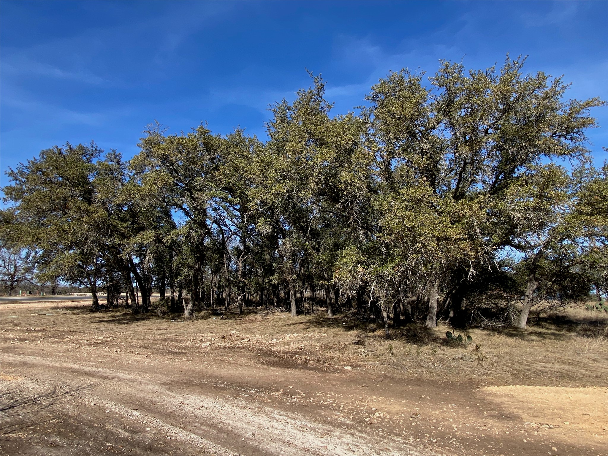 101 Fayt Court Georgetown, TX 78628 - Photo 2 of 14 a view of road with trees