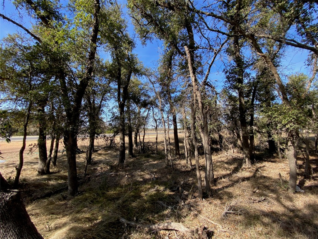 Tbd Tbd Fayt Court Georgetown, TX 78628 - Photo 7 of 14 View of local wilderness