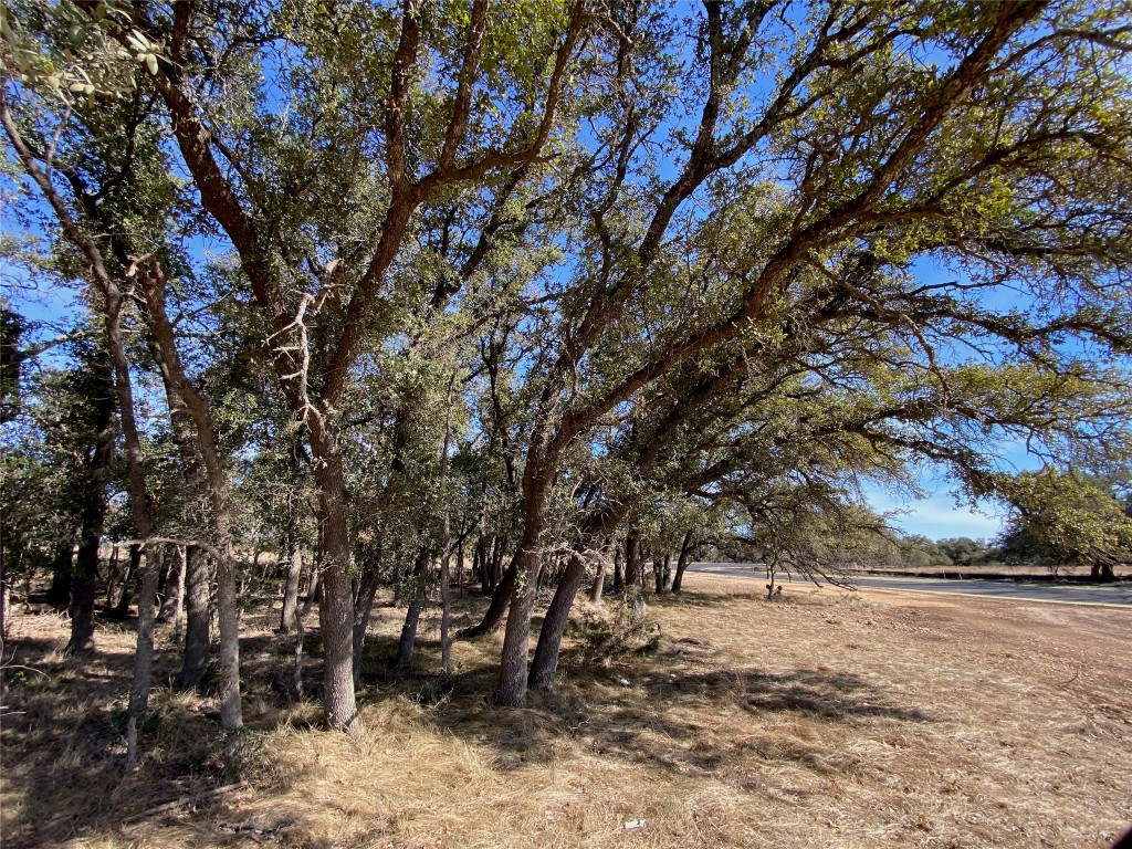 Tbd Tbd Fayt Court Georgetown, TX 78628 - Photo 9 of 14 View of nature
