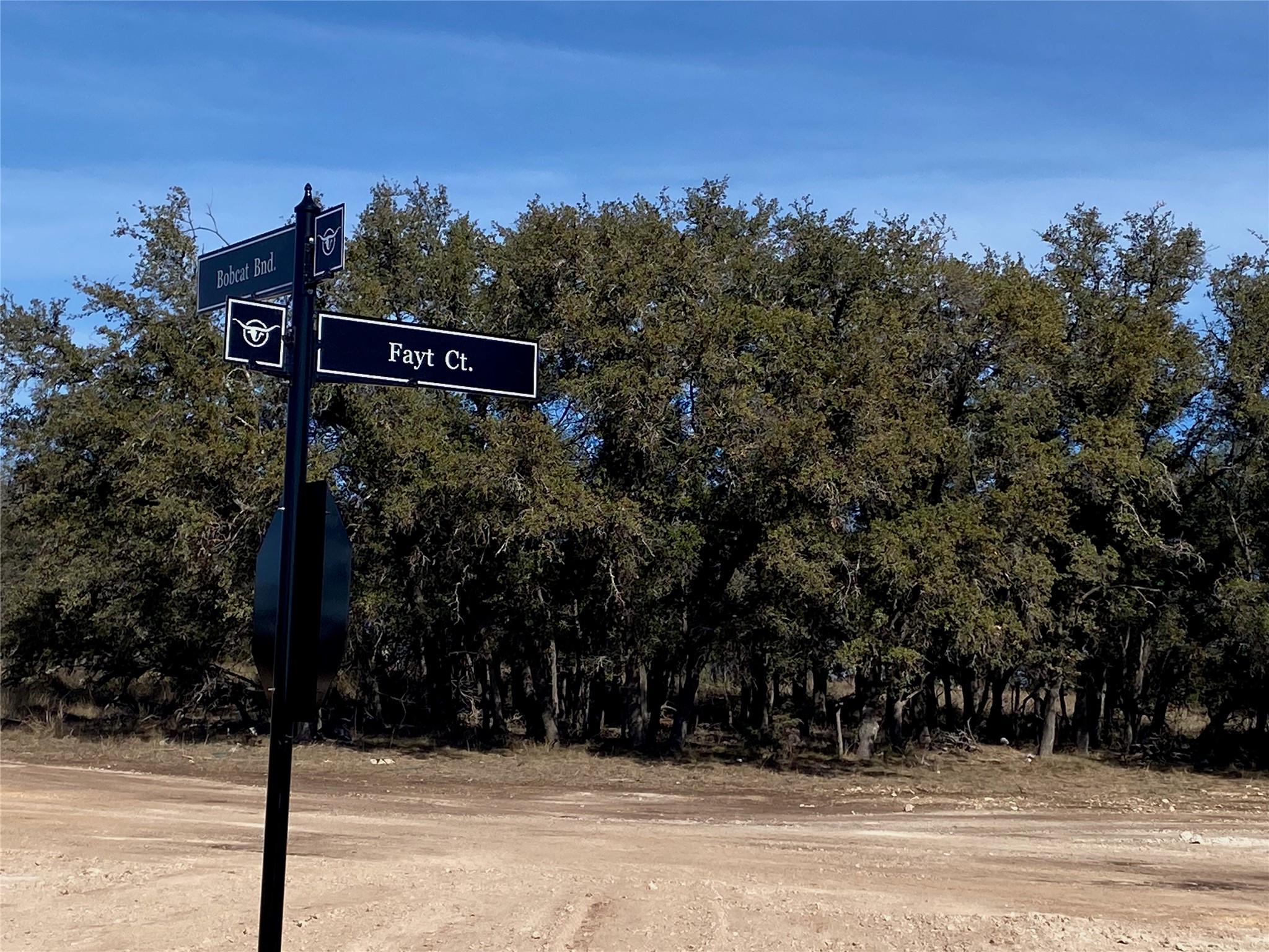 101 Fayt Court Georgetown, TX 78628 - Photo 10 of 14 a view of street sign