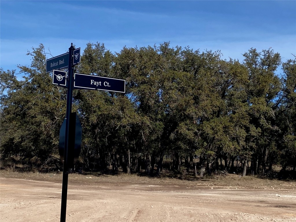 Tbd Tbd Fayt Court Georgetown, TX 78628 - Photo 10 of 14 Exterior view