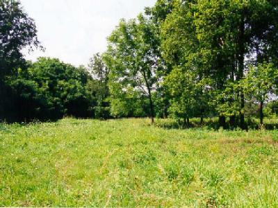 3601 Westwind Drive, Unit LOT 3 Ozark, MO 65721 - Photo 1 of 1 Additional Photo